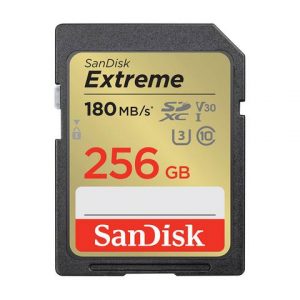 Minneskort SANDISK SDHC Extreme 256GB