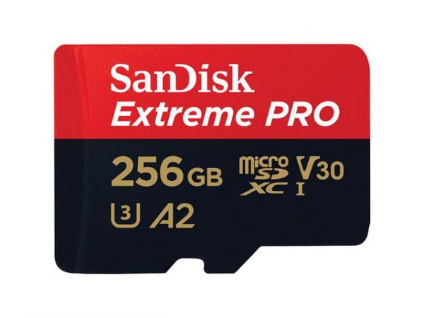 Minneskort SANDISK MicroSDXC E. Pro256GB