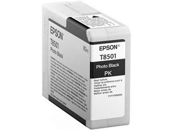 Bläckpatron EPSON T850100 svart