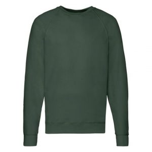 Sweatshirt FRUIT grön 2XL