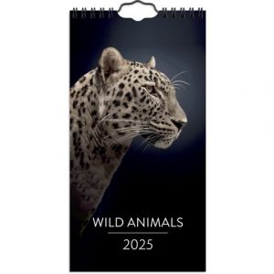 Väggkalender Wild animals 2025