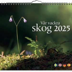 Väggkalender Vår vackra skog 2025