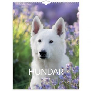 Väggkalender Stora Hundkalendern 2025