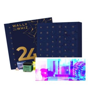 Julkalender Wally Whiz